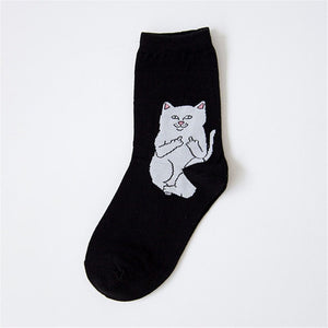 Funny socks de Gato